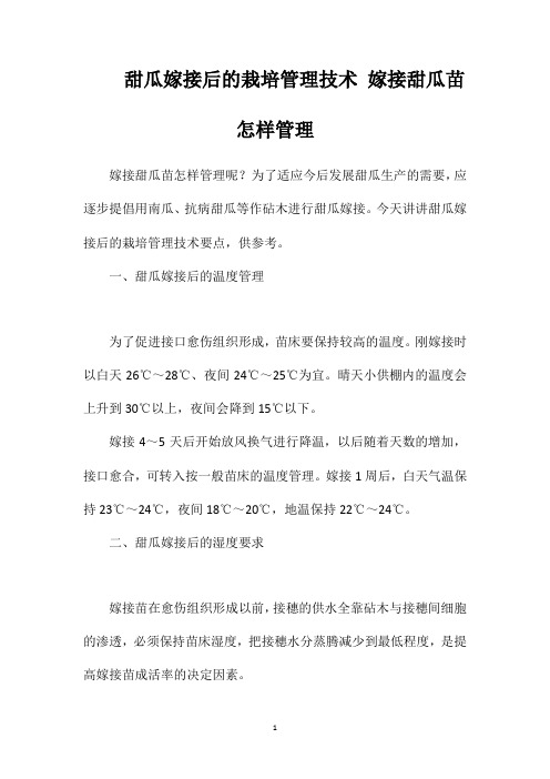 甜瓜嫁接后的栽培管理技术嫁接甜瓜苗怎样管理