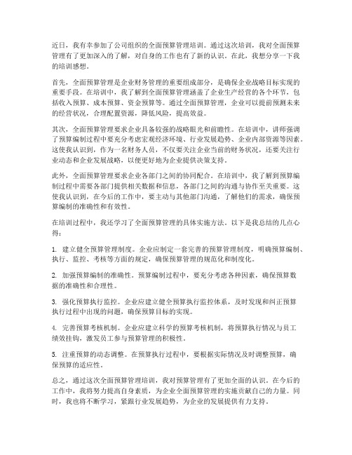 全面预算管理培训感想