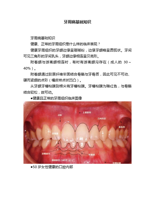 牙周病基础知识