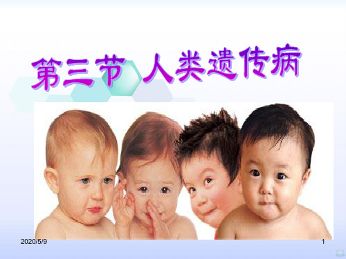 高二生物必修二五三人类遗传病PPT课件