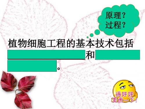 植物细胞工程的实际应用精品学案lincuip