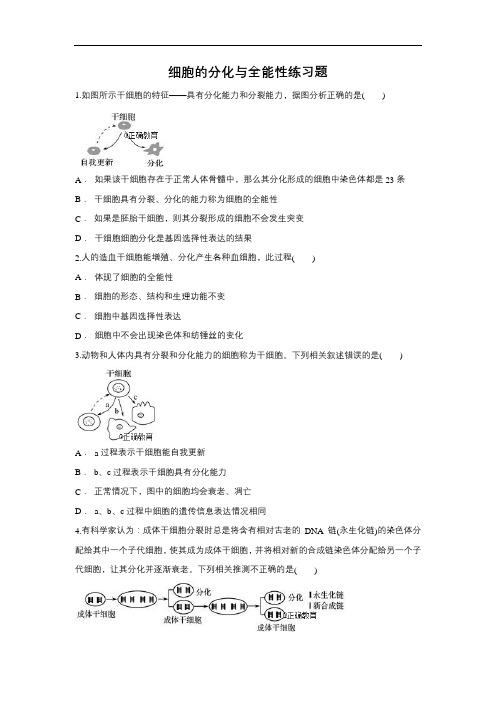 2019届高考生物一轮复习对点精选训练：细胞的分化与全能性(含解析)