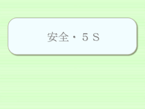 八、安全5S