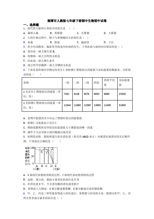 湘潭市人教版七年级下册期中生物期中试卷