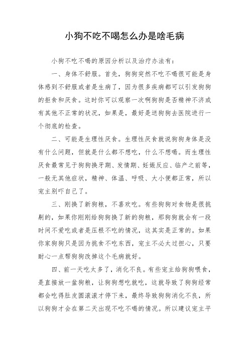 小狗不吃不喝怎么办是啥毛病