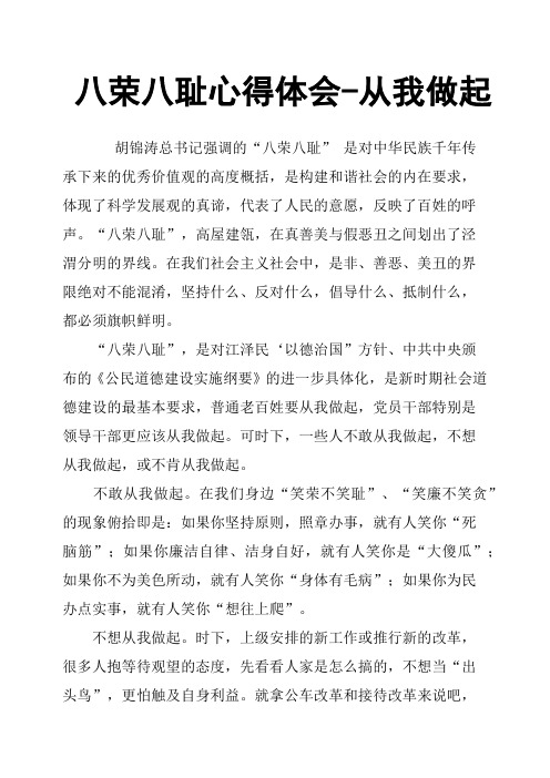 八荣八耻心得体会从我做起