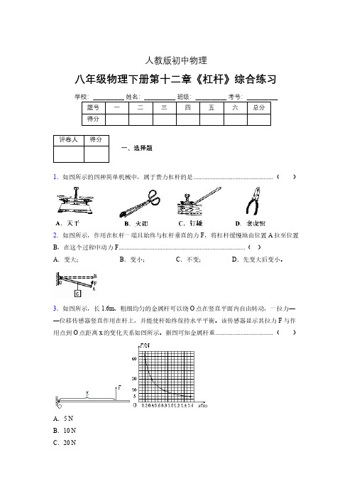 (中考)物理《杠杆》专项模拟练习(含答案) (375).pdf