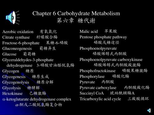 生物化学英语单词读音2