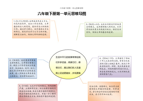 六年级下册第一单元思维导图