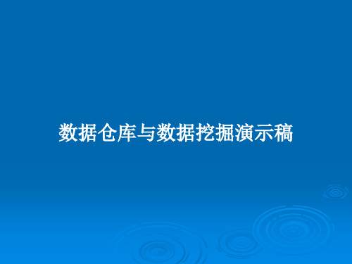 数据仓库与数据挖掘演示稿PPT教案