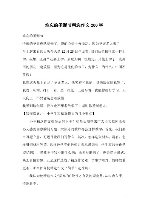 难忘的圣诞节精选作文200字