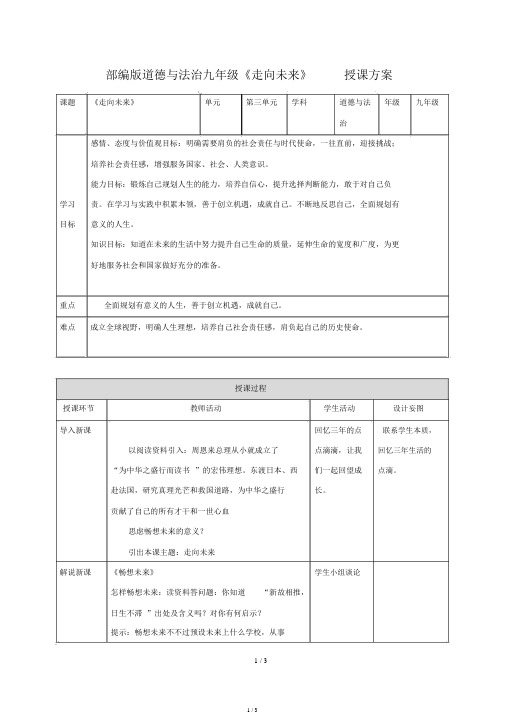 人教部编版九年级下册道德与法治7.2走向未来教案