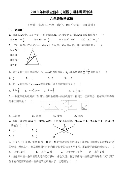 2013年秋季宜昌市(城区)九年级期末调研考试模拟试题及答案