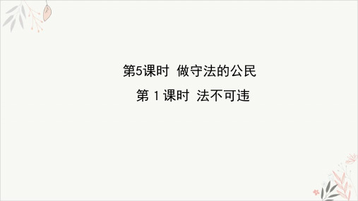 《法不可违》部编版ppt优秀课件