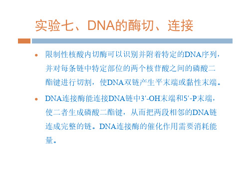 实验7 DNA的酶切与连接