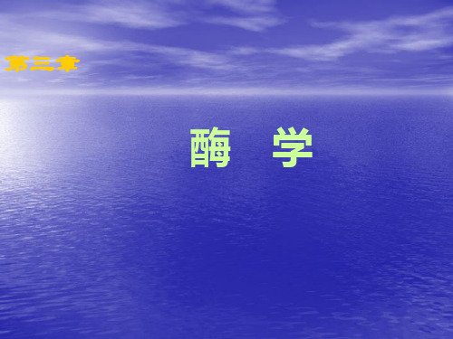 生物化学第四章酶