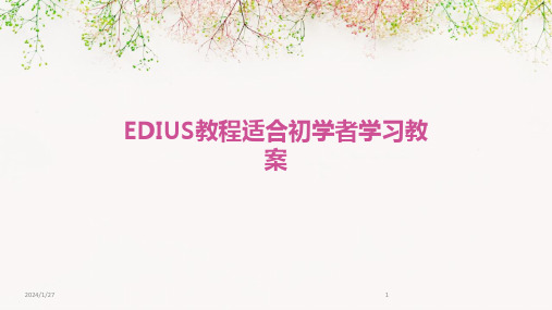 EDIUS教程适合初学者学习教案(2024)