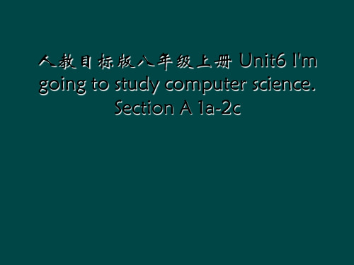 人教目标版八年级上册 Unit6 I'm going to study computer scien