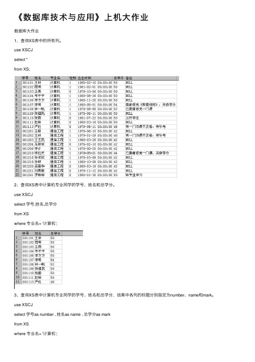 《数据库技术与应用》上机大作业