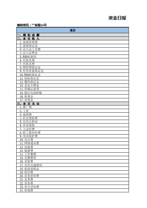 资金日报表 - 模板