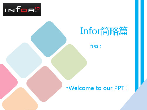 ER 软件公司——Infor