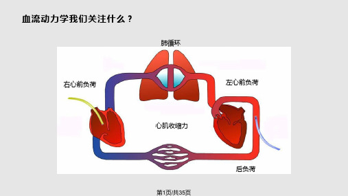 PICCO参数解读与血流动力学PPT课件