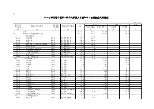 2019年部门综合预算一般公共预算支出明细表(按经济分类科