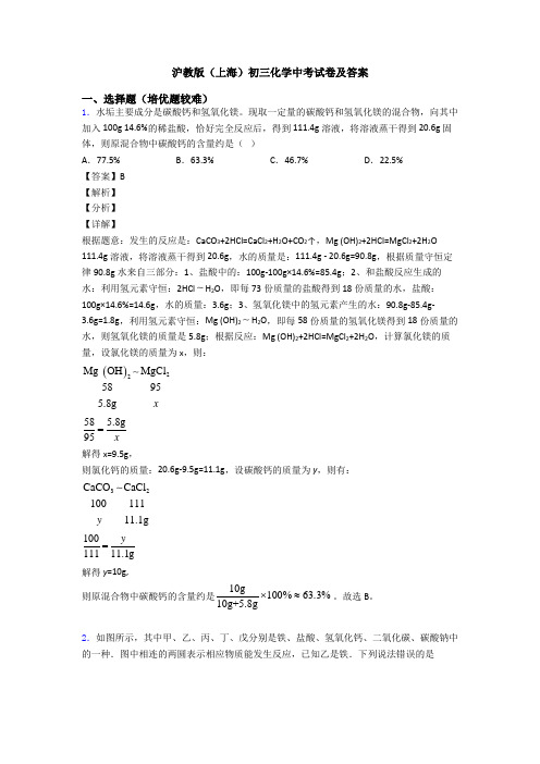 沪教版(上海)初三化学中考试卷及答案