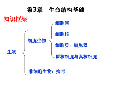 沪教版生物高一第一册-3.1生命结构基础 课件  