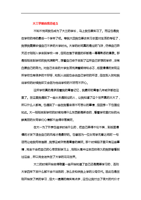 我大三了大学作文800字