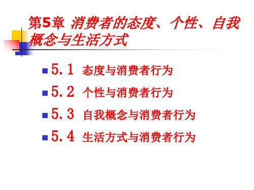 消费者行为学——理论实务的案例实训(第二版)第5章 消费者的态度个性自我概念与生活方式