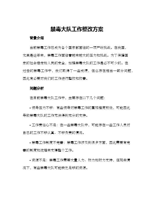 禁毒大队工作整改方案