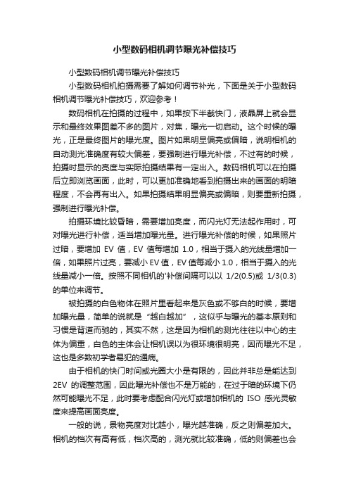 小型数码相机调节曝光补偿技巧