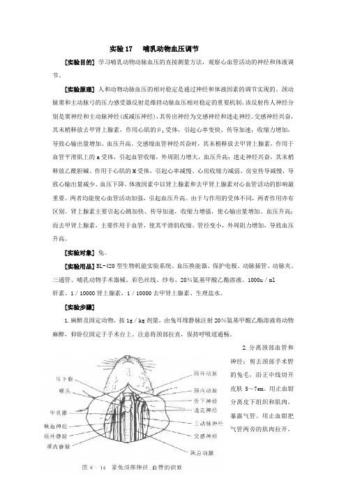 试验17哺乳动物血压调节试验目的学习哺乳动物动脉血压的直接