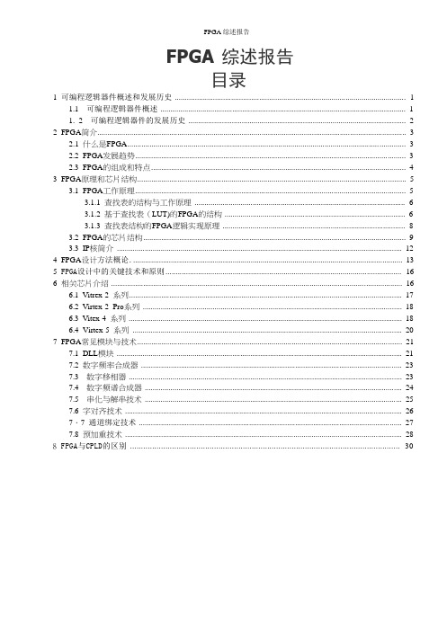 FPGA综述报告