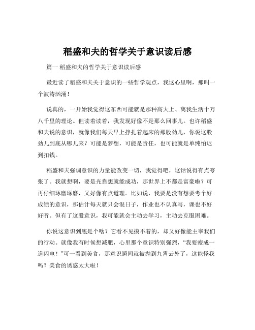 稻盛和夫的哲学关于意识读后感