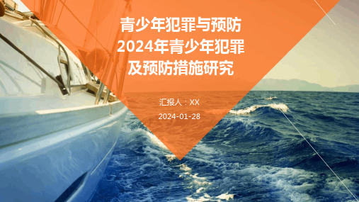 青少年犯罪与预防2024年青少年犯罪及预防措施研究