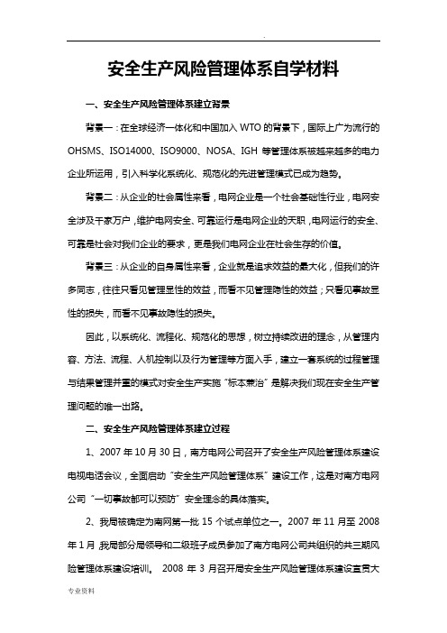 南方电网广东电网公司安全生产风险管理体系材料