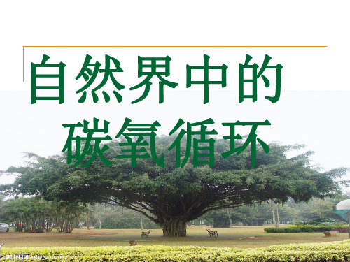 自然界中的碳循环和氧循环演示文稿