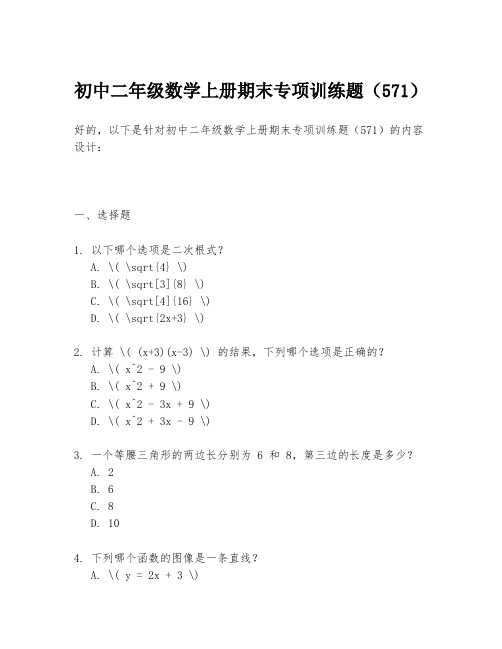 初中二年级数学上册期末专项训练题(571)