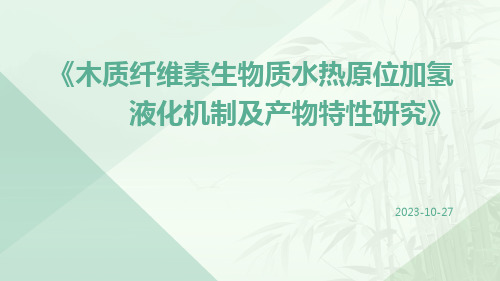 木质纤维素生物质水热原位加氢液化机制及产物特性研究