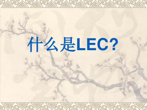 LEC评价法知识讲解