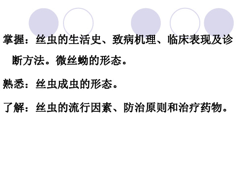 04丝虫、旋毛虫共32页PPT资料