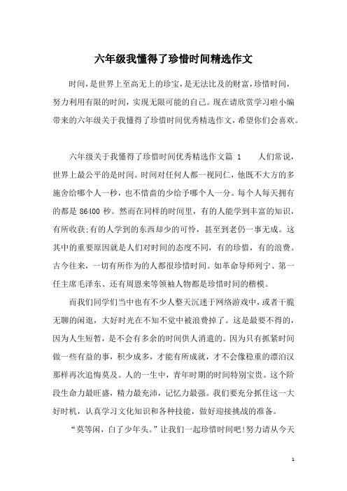 六年级我懂得了珍惜时间精选作文