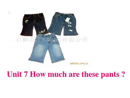 七年级英语How-much-are-these-pants课件3(1)