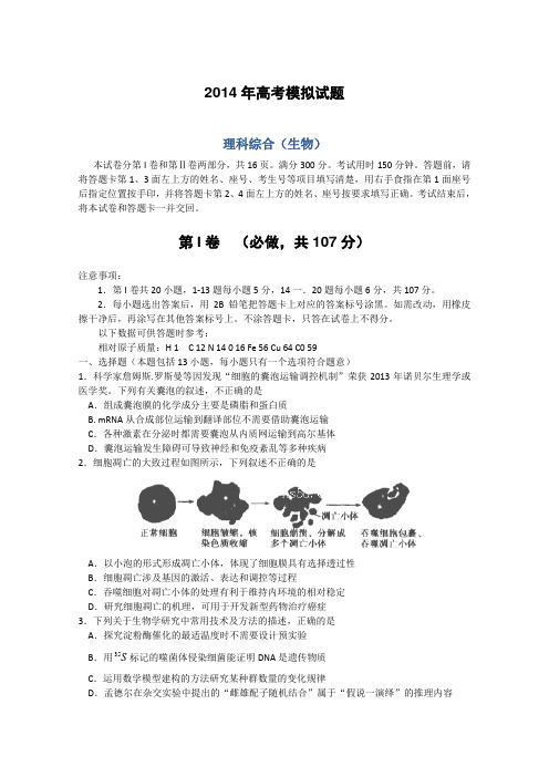 【2014临沂二模】山东省临沂市2014届高三5月模拟考试 理综生物 Word版含答案
