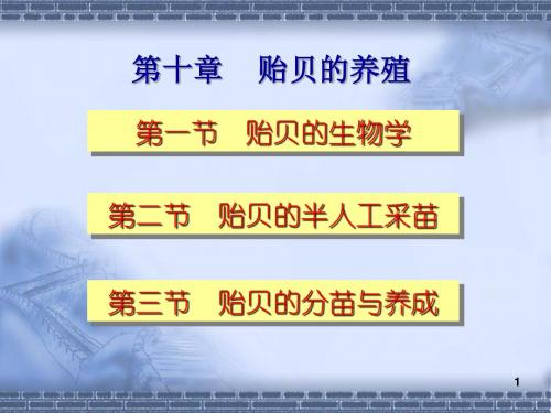 贝养N_10贻贝养殖-wxt.