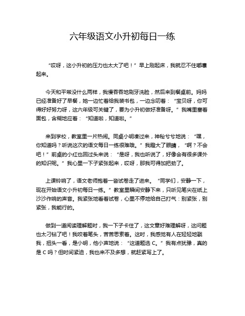 六年级语文小升初每日一练