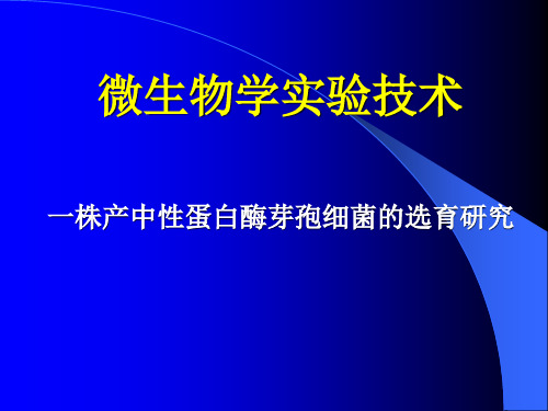 03 实验三 产中性蛋白酶芽孢杆菌的发酵复筛