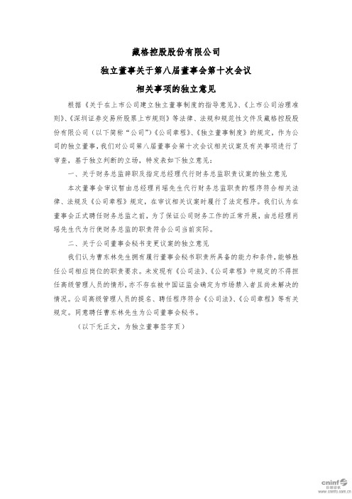 ST藏格：独立董事关于第八届董事会第十次会议相关事项的独立意见